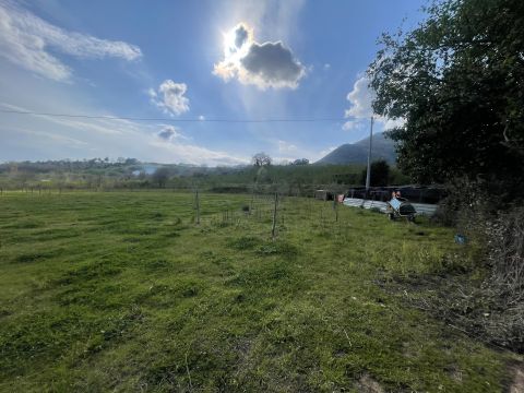 Contrada Salella - San Cipriano Picentino