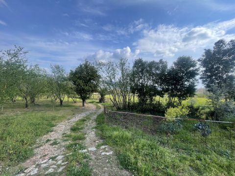 Contrada Salella - San Cipriano Picentino