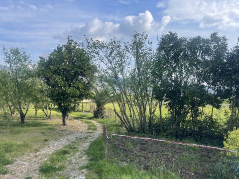 Contrada Salella - San Cipriano Picentino