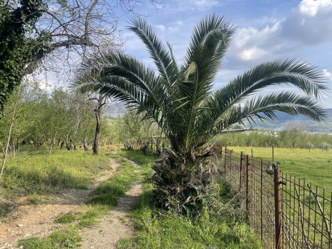 Contrada Salella - San Cipriano Picentino