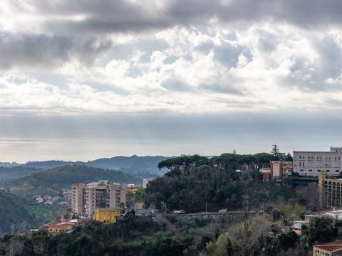 Via Eugenio de Riso, 77 - Catanzaro