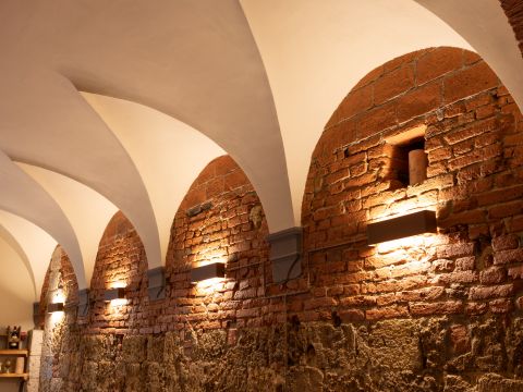 Piazza Francesco Carrara, 16 - Pisa