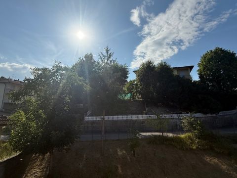 Via Puccini - Solignano