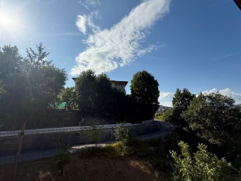 Via Puccini - Solignano