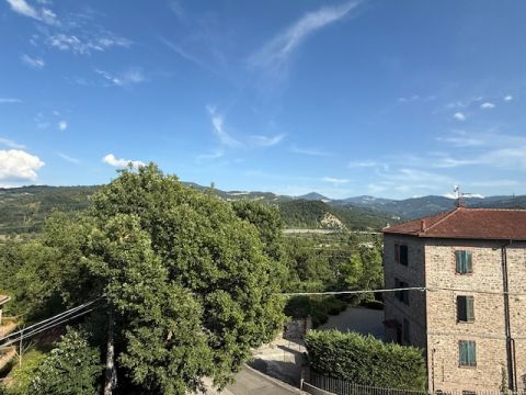 Via Puccini - Solignano