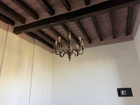 Via Francesca - Albinea