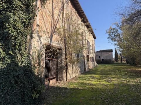 Via Francesca - Albinea