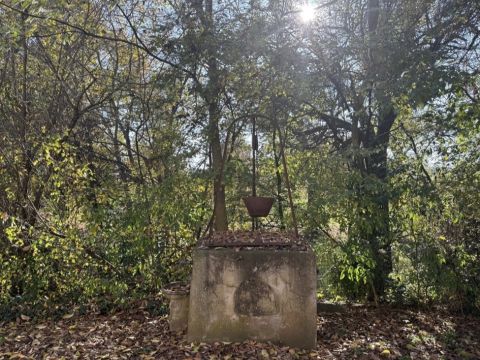 Via Francesca - Albinea