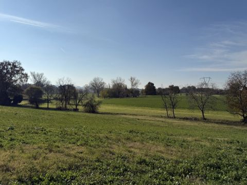 Via Francesca - Albinea