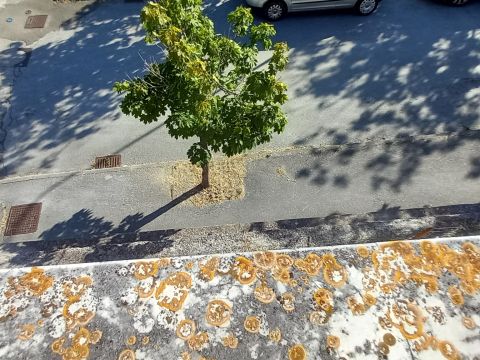 Roncitelli, AN, Italia - Senigallia