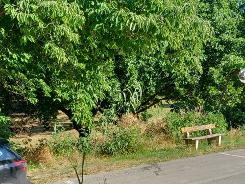 Roncitelli, AN, Italia - Senigallia