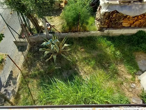 Roncitelli, AN, Italia - Senigallia