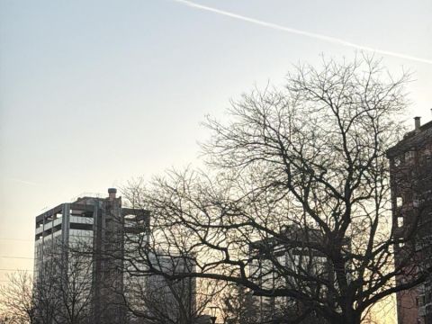 Via Riva di Trento - Milano