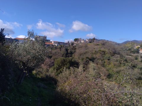 Via Ettore Vitale - Catanzaro