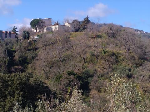 Via Ettore Vitale - Catanzaro