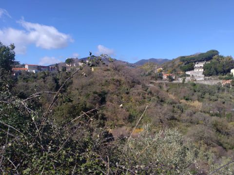 Via Ettore Vitale - Catanzaro