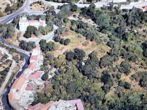 Via Ettore Vitale - Catanzaro