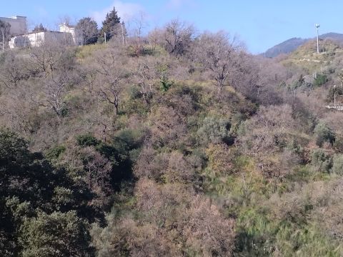 Via Ettore Vitale - Catanzaro