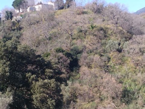 Via Ettore Vitale - Catanzaro