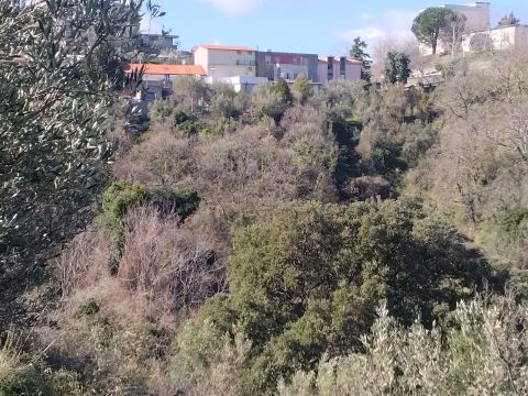 Via Ettore Vitale - Catanzaro