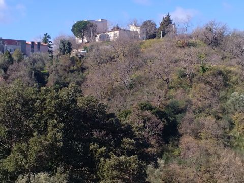 Via Ettore Vitale - Catanzaro