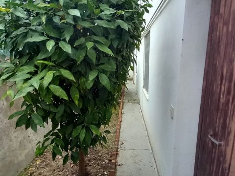 Via Guglielmo Marconi, 18 - Trecastelli