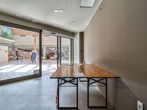 Via Amilcare Ponchielli, 23 - Bologna