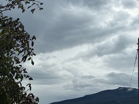 Via Terroni Domenico - Borgo Val Di Taro