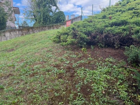 Via Terroni Domenico - Borgo Val Di Taro