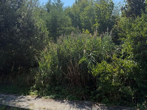 Via del Cimitero - Borgo Val Di Taro