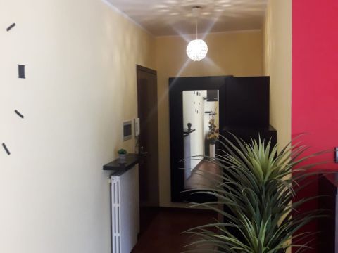 Via Giuseppe Micheli - Langhirano