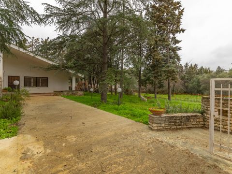 Via Pedali della Murgia, 39 - Toritto