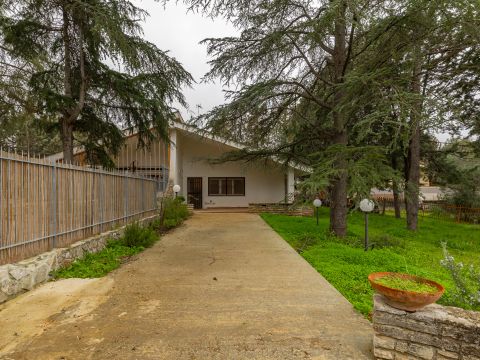 Via Pedali della Murgia, 39 - Toritto