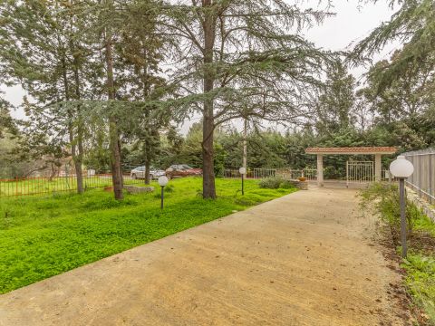 Via Pedali della Murgia, 39 - Toritto