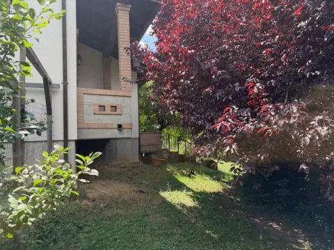 LOCALITA' GOTRA - Albareto