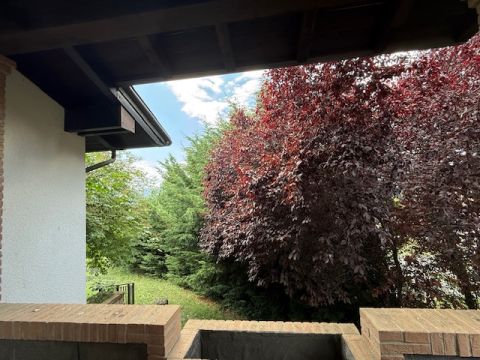 LOCALITA' GOTRA - Albareto