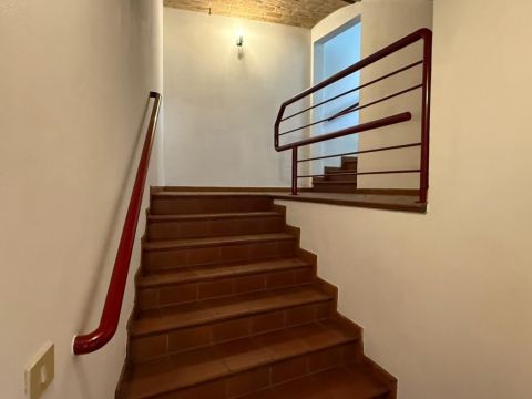 Viale Verdi - Traversetolo