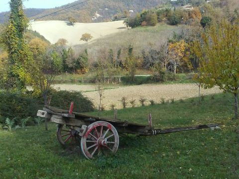 Frazione Costa, 123 - Arcevia