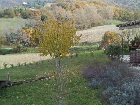 Frazione Costa, 123 - Arcevia