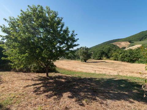 Frazione Costa, 123 - Arcevia