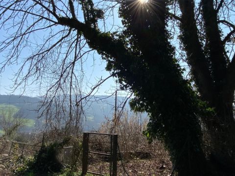 Strada Cattabiano - Langhirano