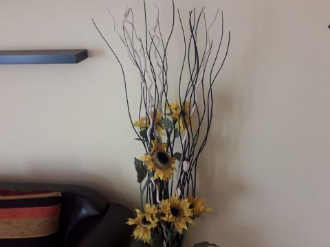 Via Giuseppe Micheli, 6 - Corniglio