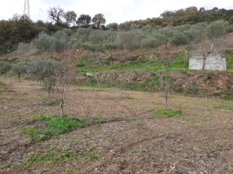 Contrada Mortella - Marcellinara