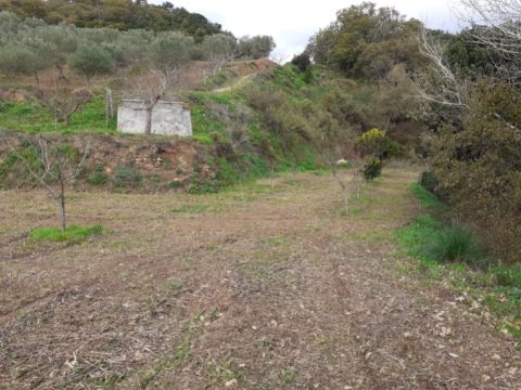 Contrada Mortella - Marcellinara