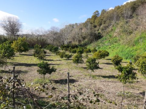 Contrada Mortella - Marcellinara