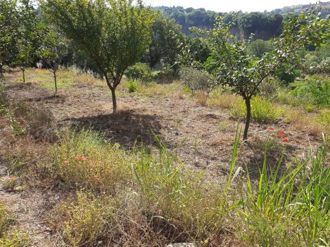 Contrada Mortella - Marcellinara