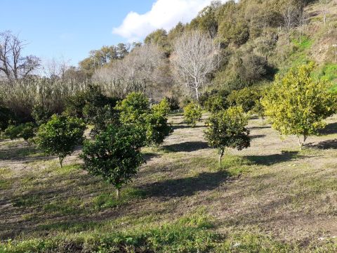 Contrada Mortella - Marcellinara