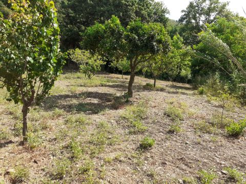 Contrada Mortella - Marcellinara