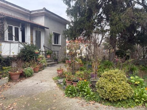 Strada Naviglio Alto - Parma