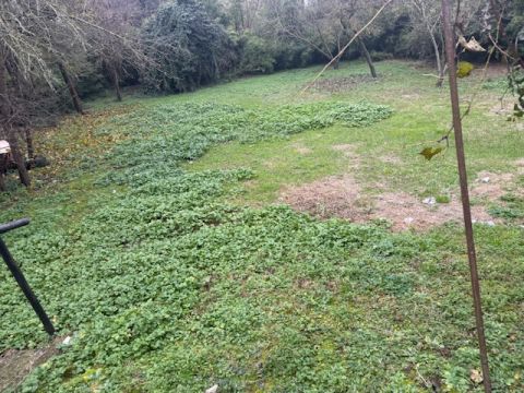 Strada Naviglio Alto - Parma